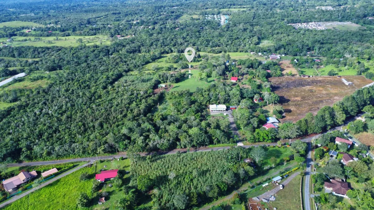 1.86-Hectare Lot in Potrerillos Arriba Dolega