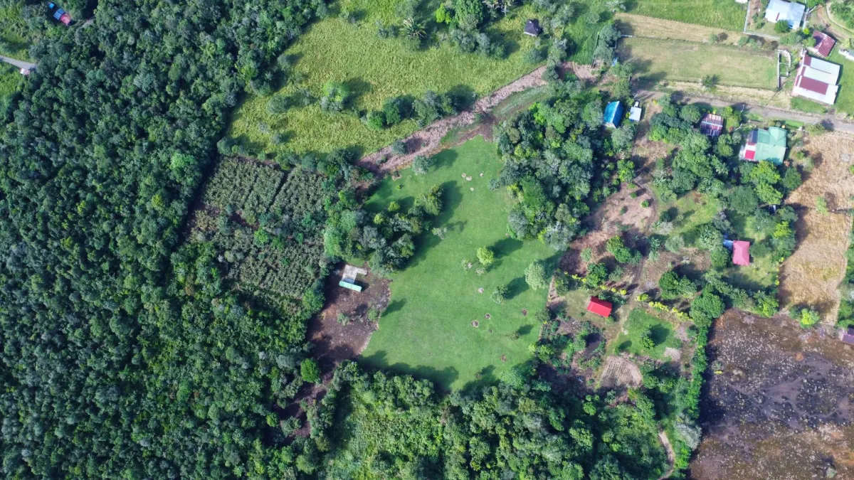 1.86-Hectare Lot in Potrerillos Arriba Dolega