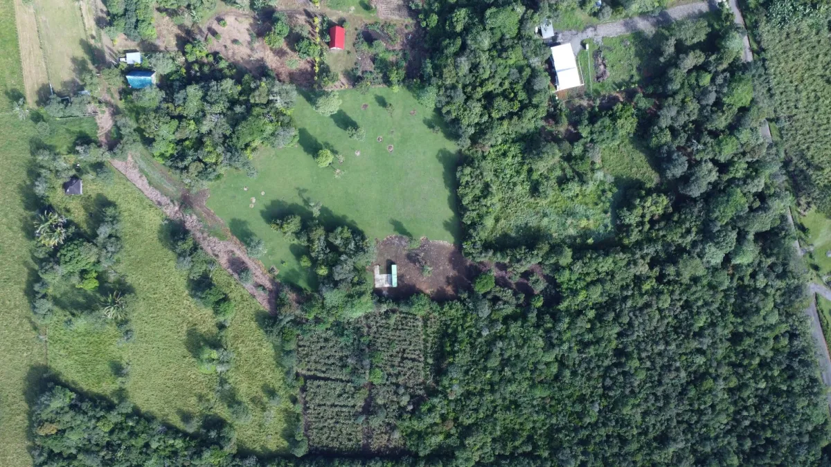 1.86-Hectare Lot in Potrerillos Arriba Dolega