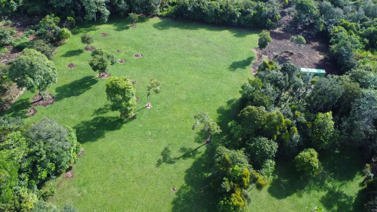1.86-Hectare Lot in Potrerillos Arriba Dolega