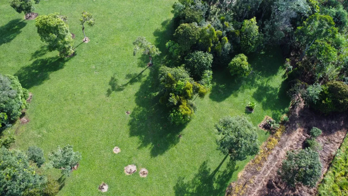 1.86-Hectare Lot in Potrerillos Arriba Dolega
