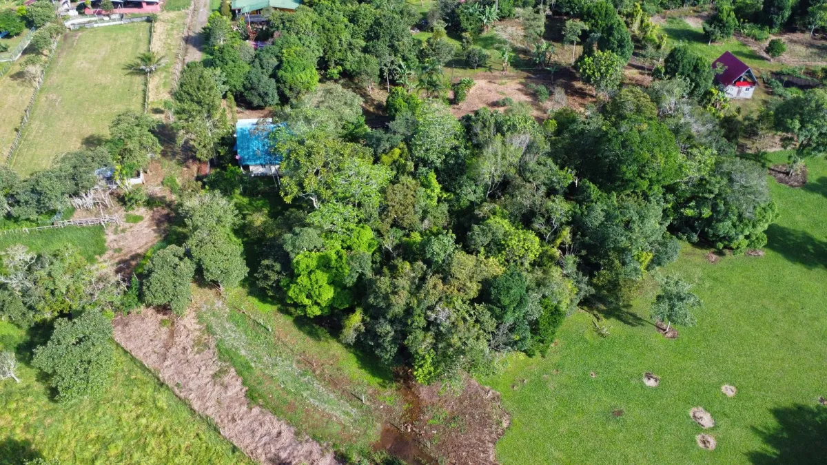 1.86-Hectare Lot in Potrerillos Arriba Dolega