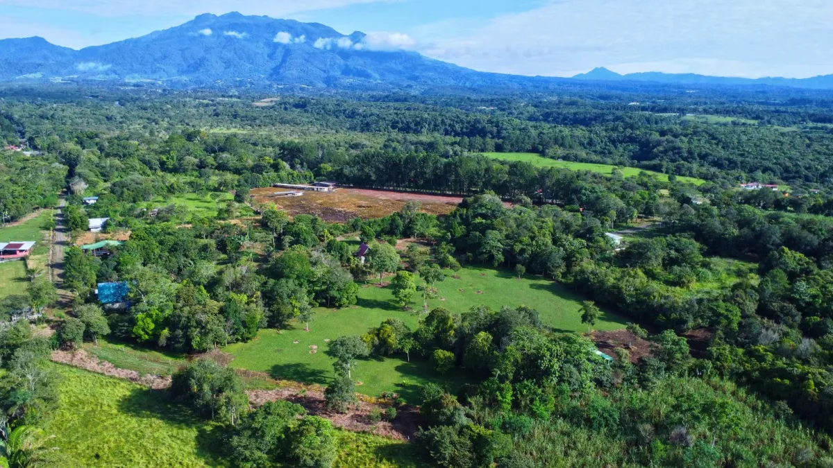 1.86-Hectare Lot in Potrerillos Arriba Dolega