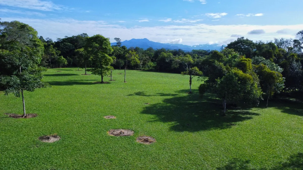 1.86-Hectare Lot in Potrerillos Arriba Dolega