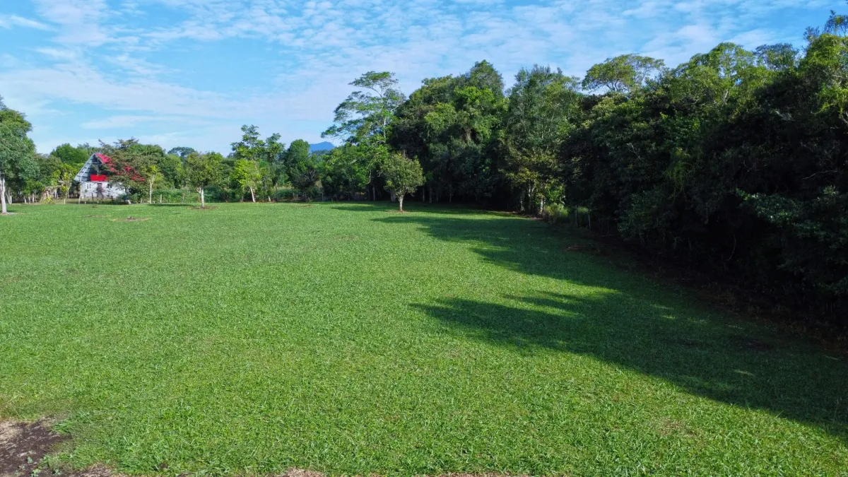 1.86-Hectare Lot in Potrerillos Arriba Dolega