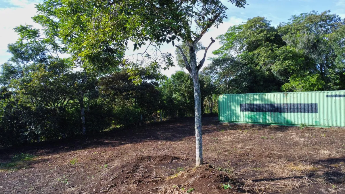 1.86-Hectare Lot in Potrerillos Arriba Dolega