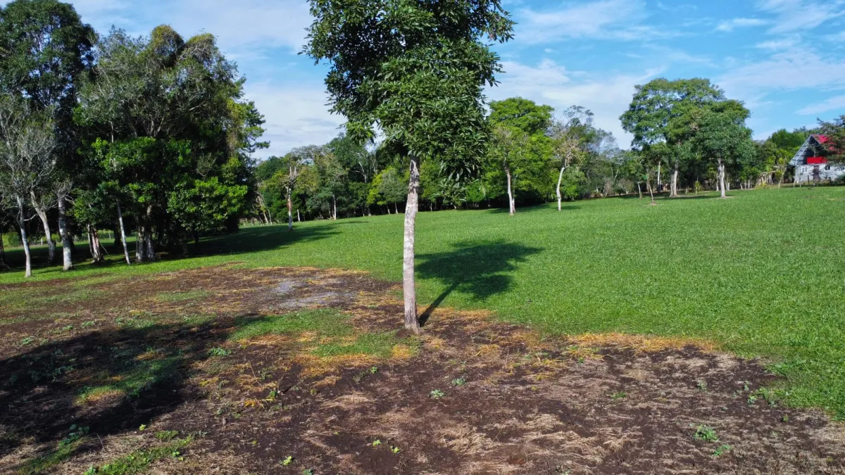 1.86-Hectare Lot in Potrerillos Arriba Dolega