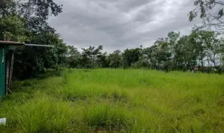Spacious 9,229 m² Flat Lot in Alto Boquete