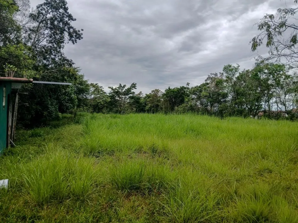 Spacious 9,229 m² Flat Lot in Alto Boquete