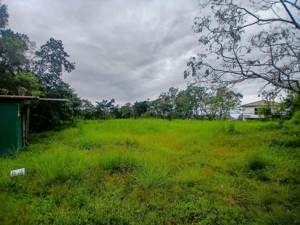 Spacious 9,229 m² Flat Lot in Alto Boquete