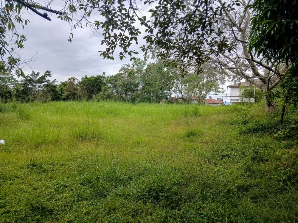 Spacious 9,229 m² Flat Lot in Alto Boquete