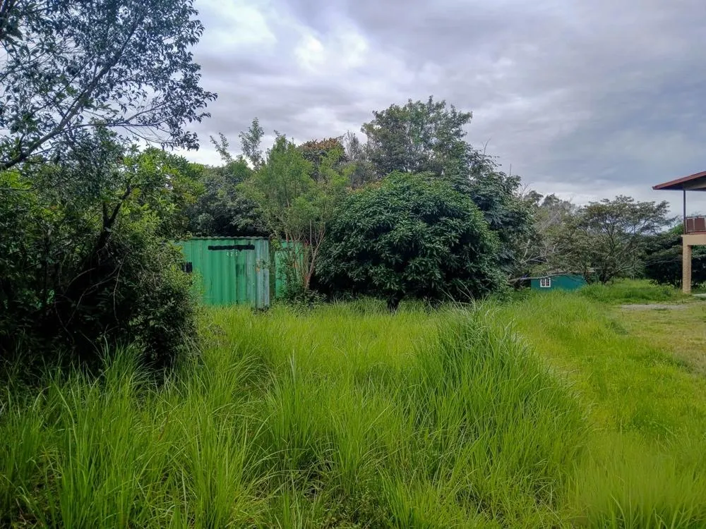 Spacious 9,229 m² Flat Lot in Alto Boquete