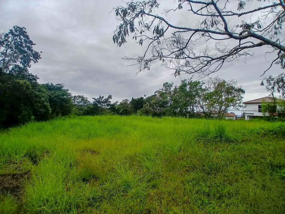 Spacious 9,229 m² Flat Lot in Alto Boquete
