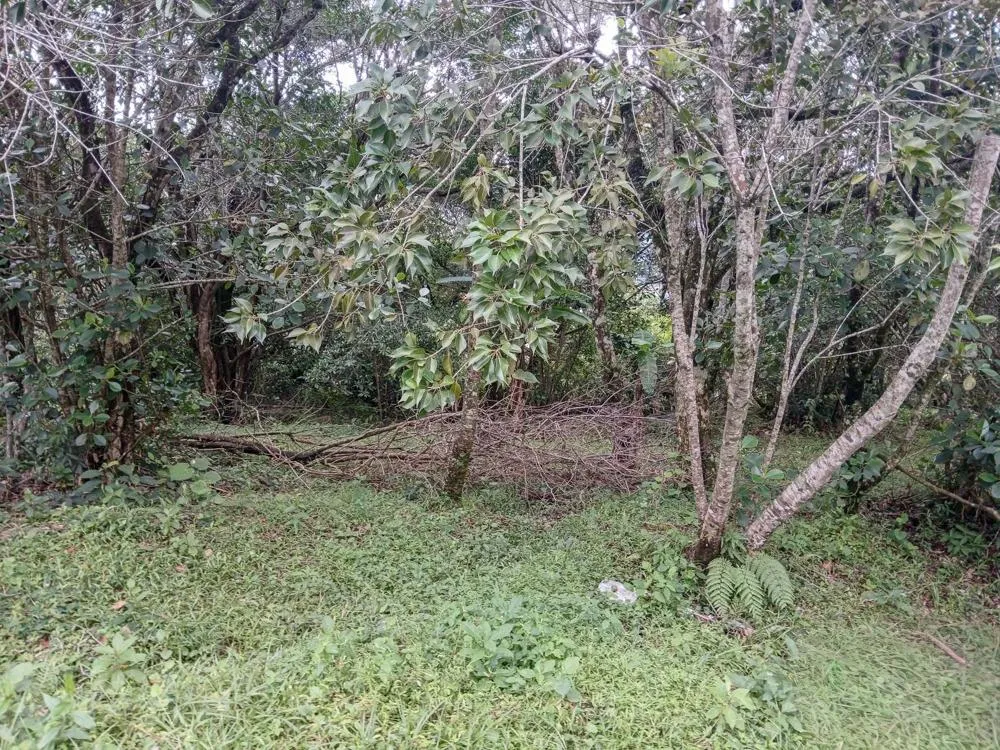 Spacious 9,229 m² Flat Lot in Alto Boquete
