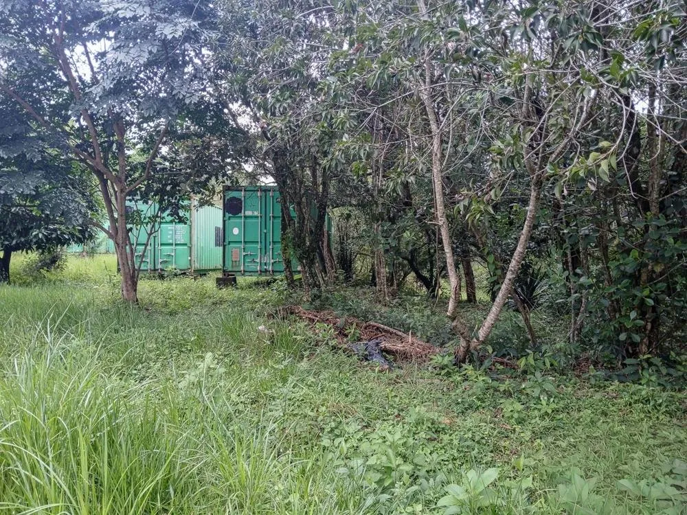 Spacious 9,229 m² Flat Lot in Alto Boquete