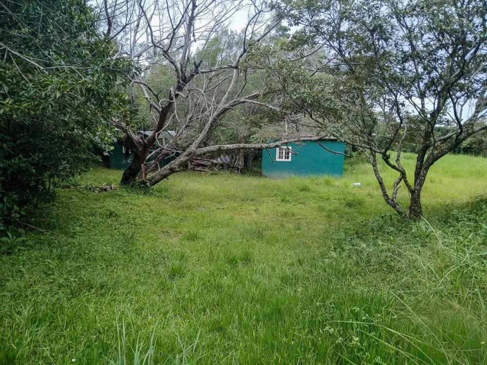 Spacious 9,229 m² Flat Lot in Alto Boquete