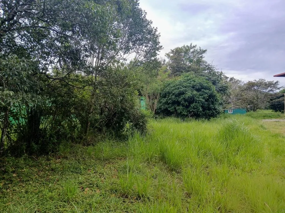 Spacious 9,229 m² Flat Lot in Alto Boquete