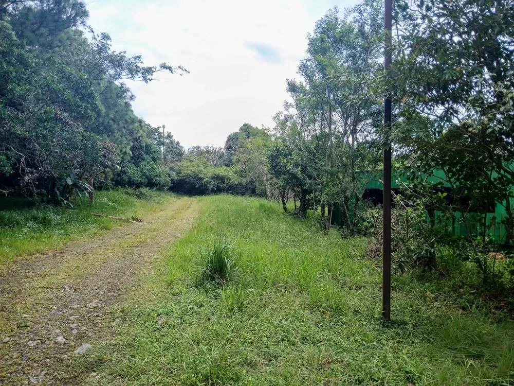 Spacious 9,229 m² Flat Lot in Alto Boquete