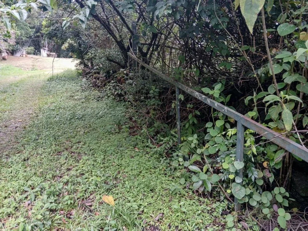 Spacious 9,229 m² Flat Lot in Alto Boquete