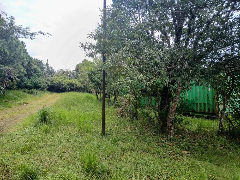 Spacious 9,229 m² Flat Lot in Alto Boquete