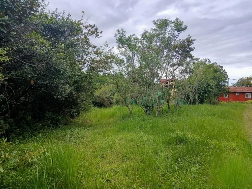 Spacious 9,229 m² Flat Lot in Alto Boquete