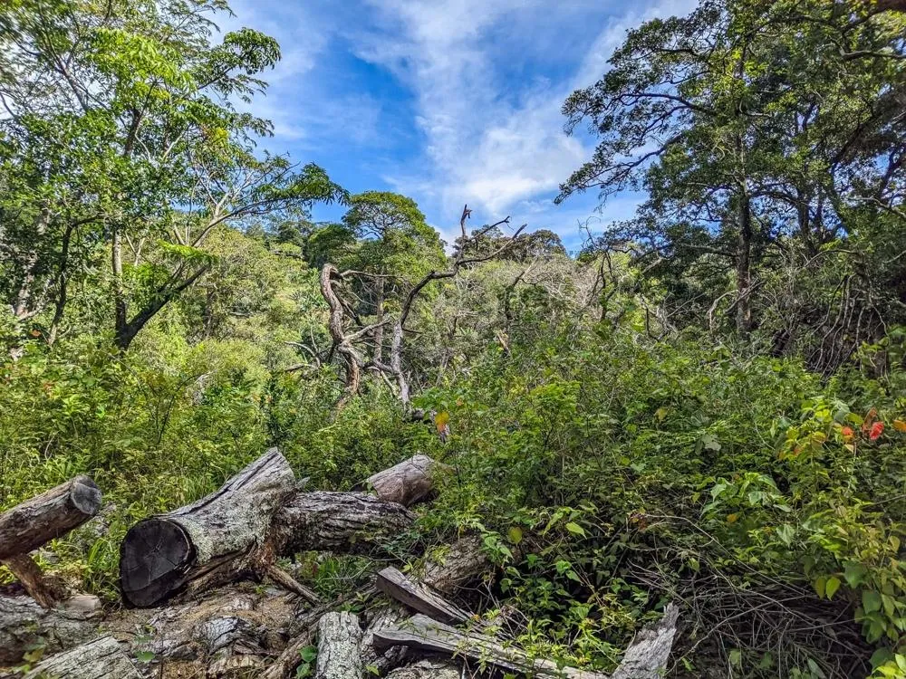 4,330 m² Lot for Sale in Palmira, Boquete