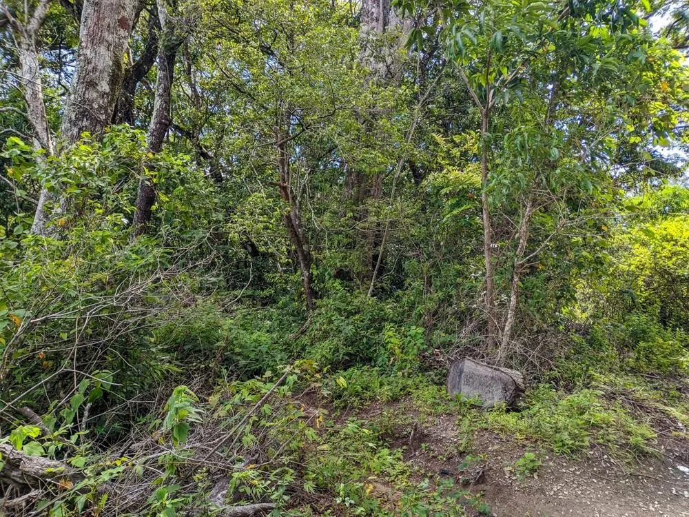 4,330 m² Lot for Sale in Palmira, Boquete