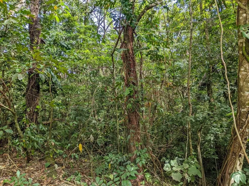 4,330 m² Lot for Sale in Palmira, Boquete