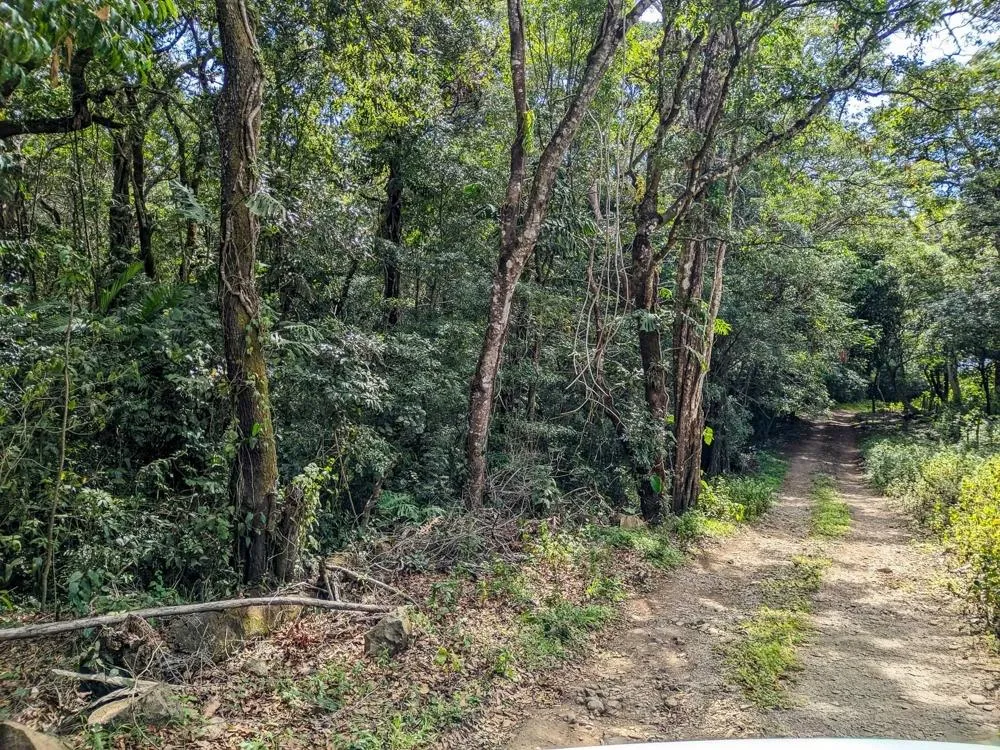 4,330 m² Lot for Sale in Palmira, Boquete