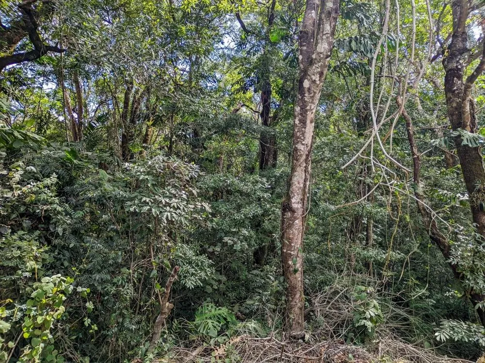 4,330 m² Lot for Sale in Palmira, Boquete