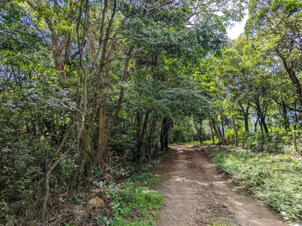 4,330 m² Lot for Sale in Palmira, Boquete