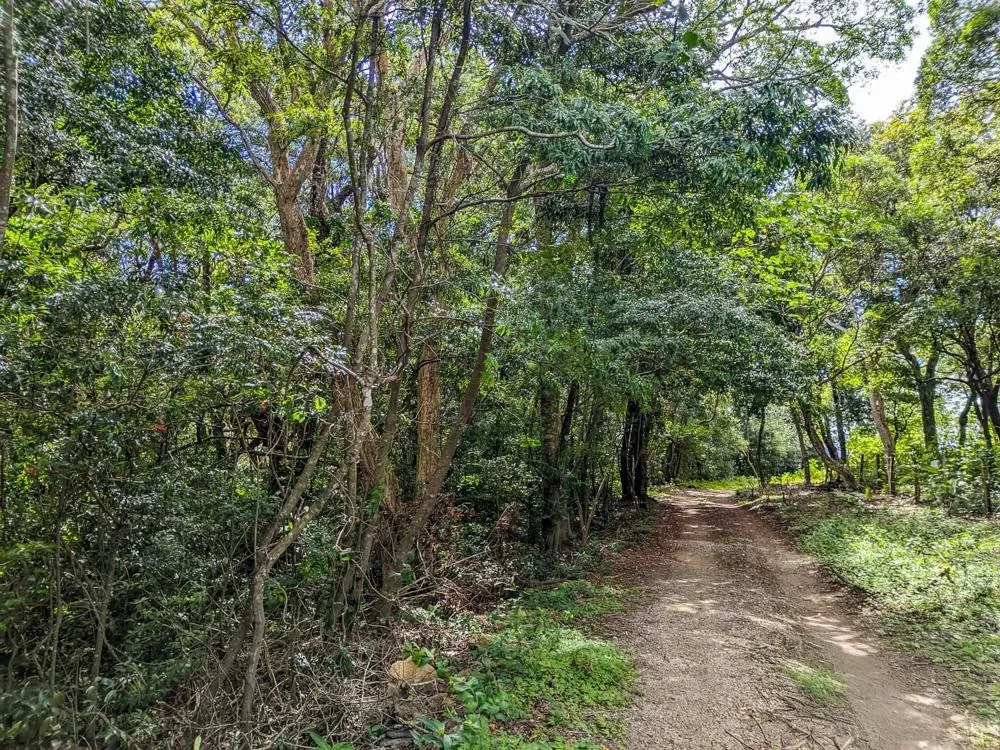 4,330 m² Lot for Sale in Palmira, Boquete