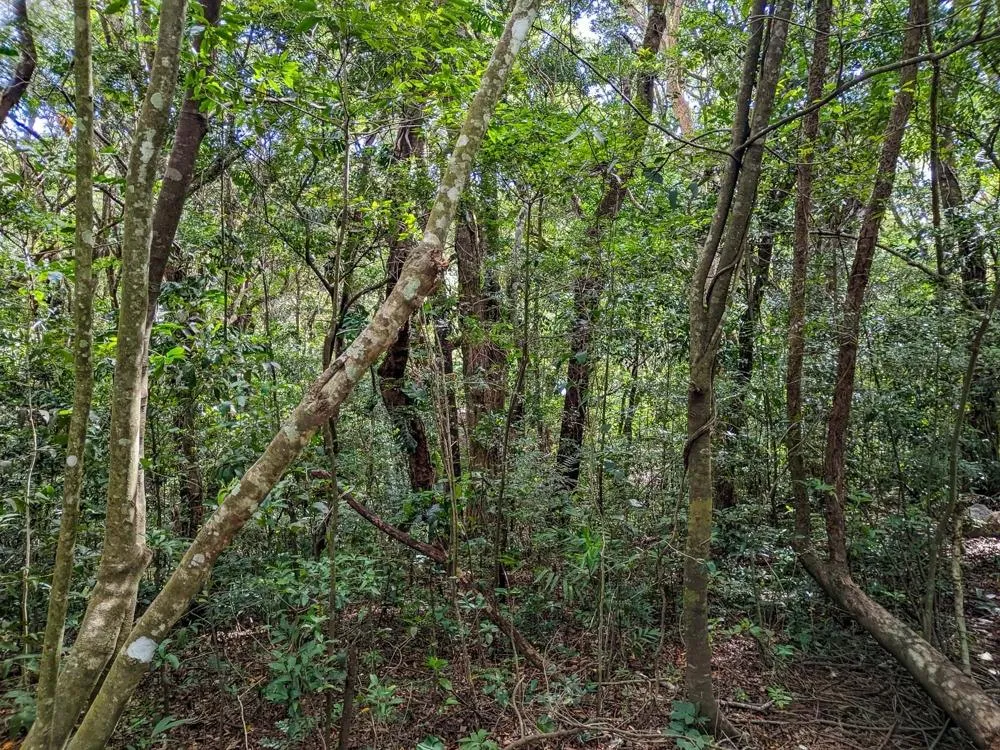 4,330 m² Lot for Sale in Palmira, Boquete