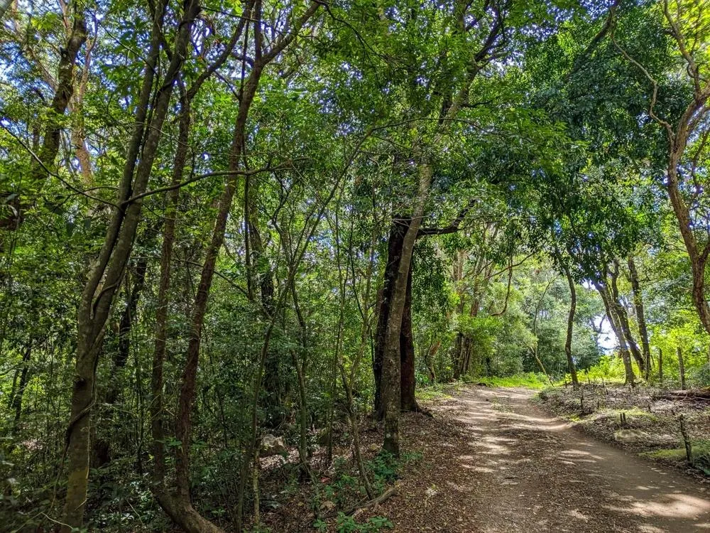 4,330 m² Lot for Sale in Palmira, Boquete