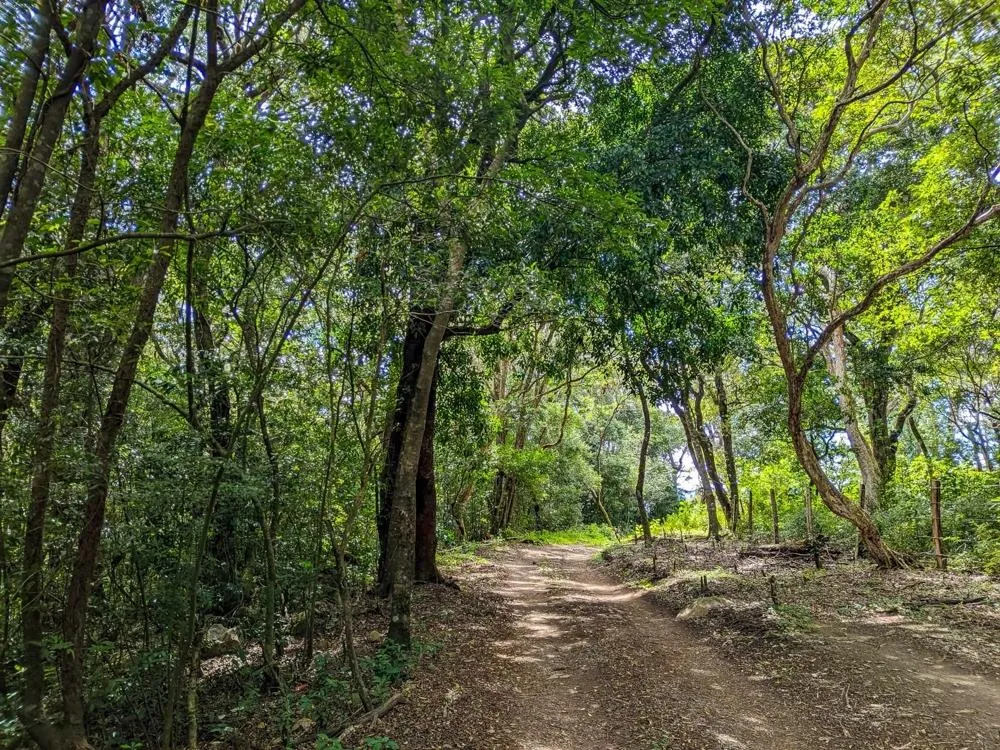 4,330 m² Lot for Sale in Palmira, Boquete