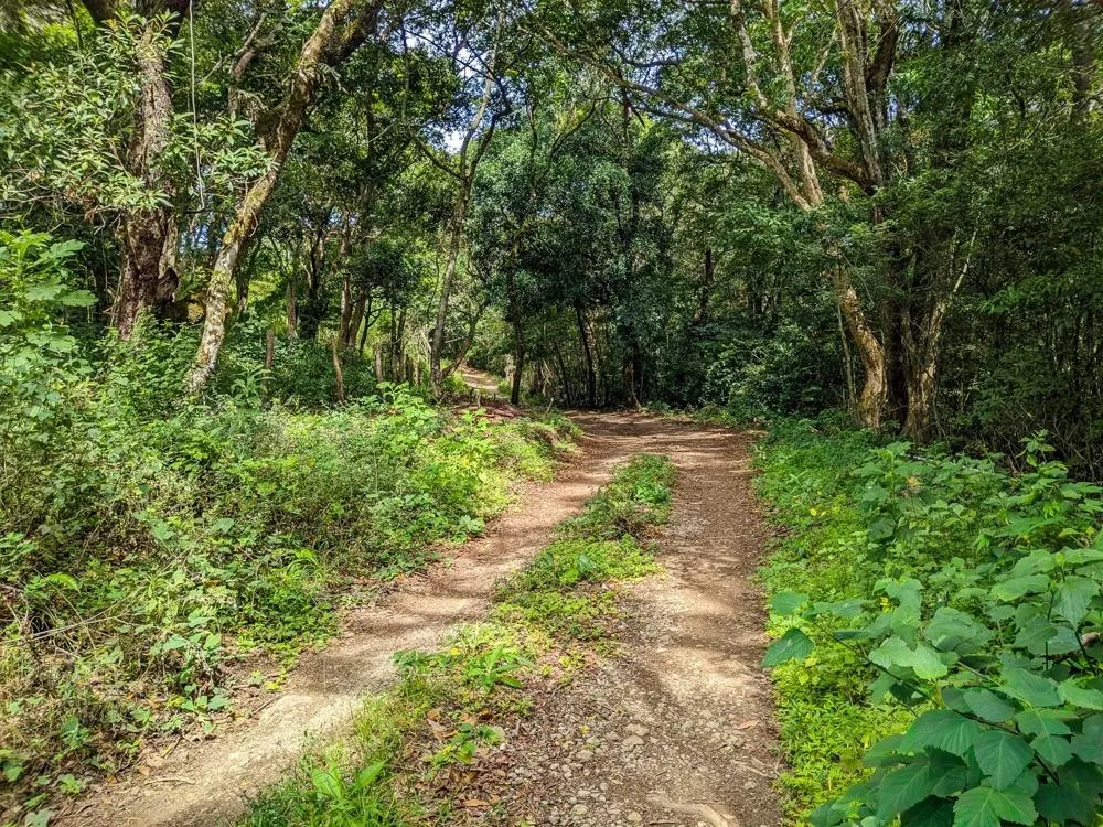 4,330 m² Lot for Sale in Palmira, Boquete