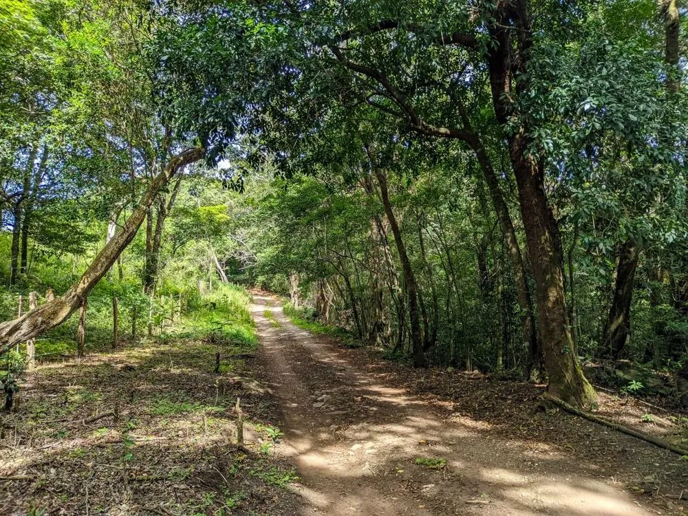 4,330 m² Lot for Sale in Palmira, Boquete