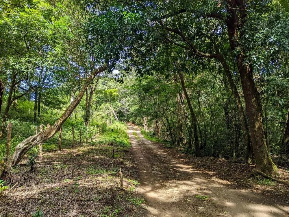 4,330 m² Lot for Sale in Palmira, Boquete