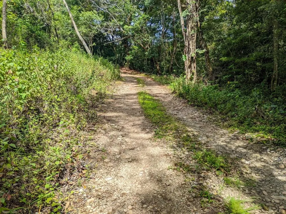 4,330 m² Lot for Sale in Palmira, Boquete