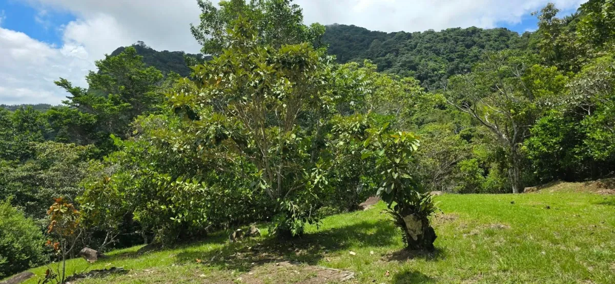 MOUNTAIN LOT, WIDE VIEWS OF THE SEA AND MOUNTAINS