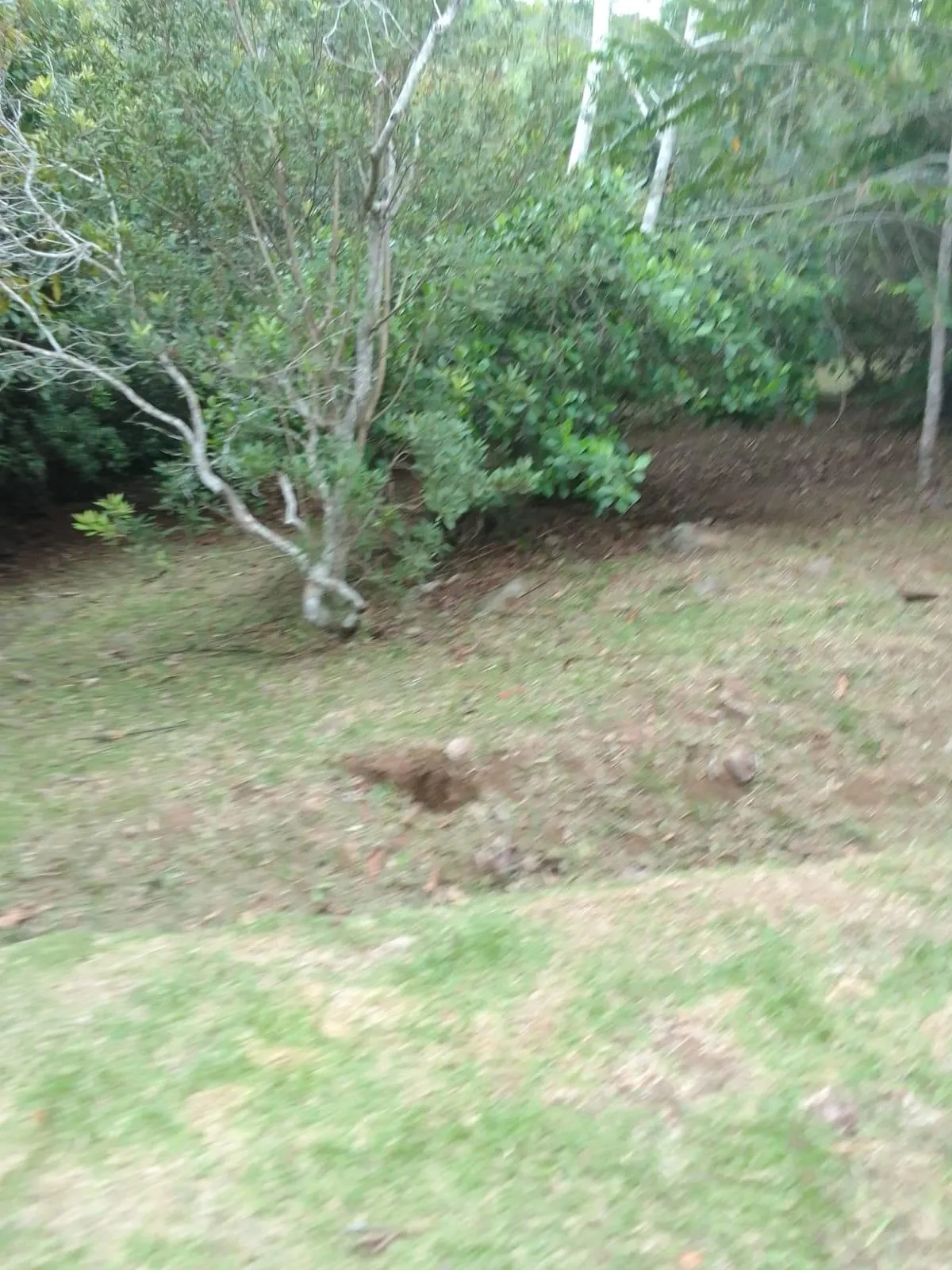 MOUNTAIN LOT, WIDE VIEWS OF THE SEA AND MOUNTAINS