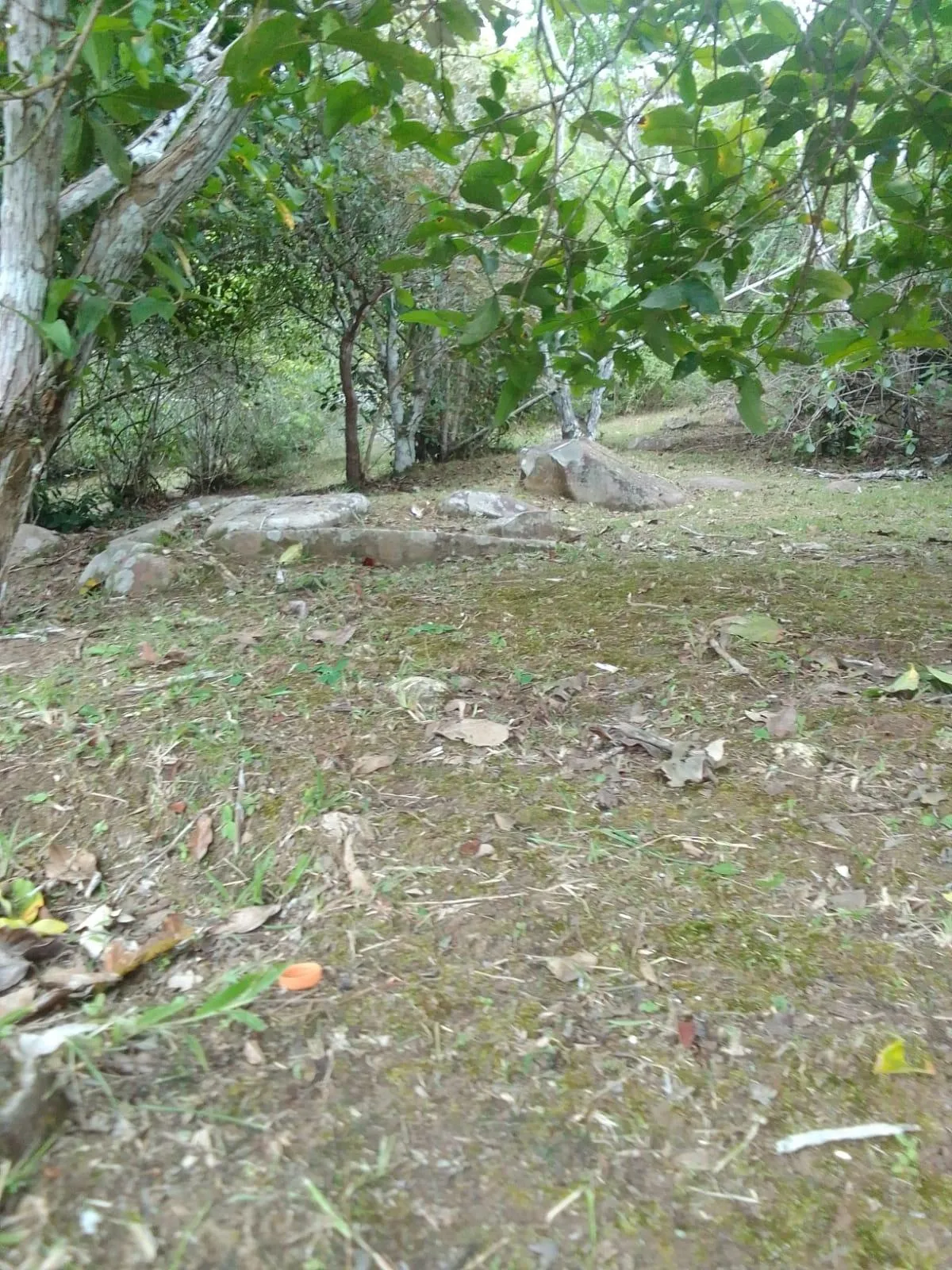 MOUNTAIN LOT, WIDE VIEWS OF THE SEA AND MOUNTAINS