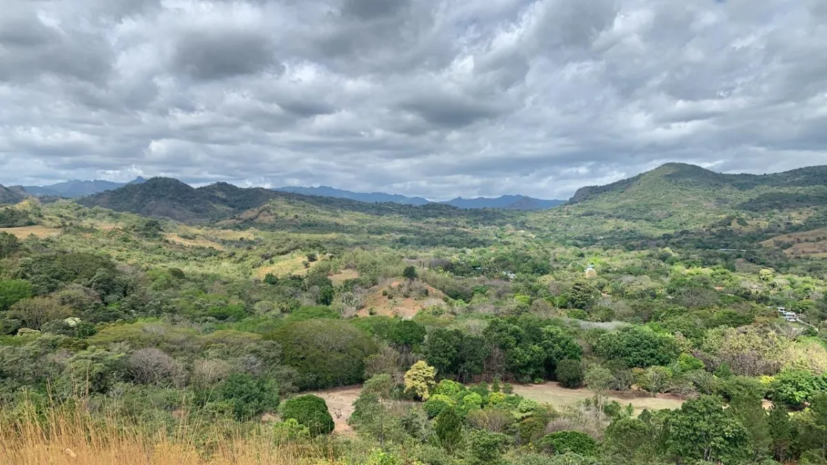 CHAME/BEJUCO LAND FOR SALE