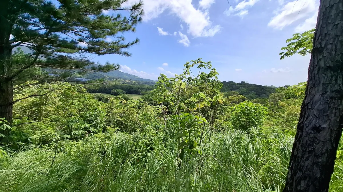 CHAME/BEJUCO LAND FOR SALE
