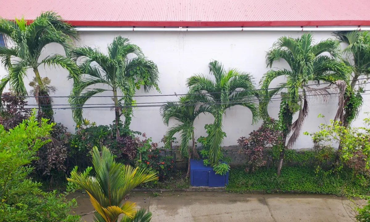 Cheerful Isla Colon Condo