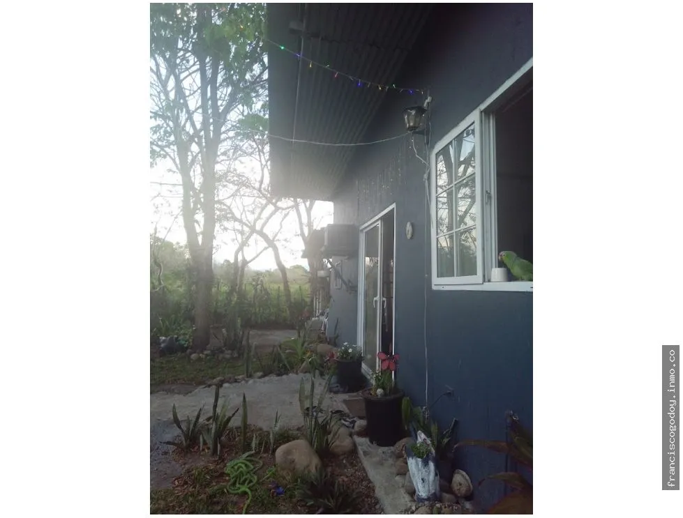 House for Sale in Dolega, Chiriqui