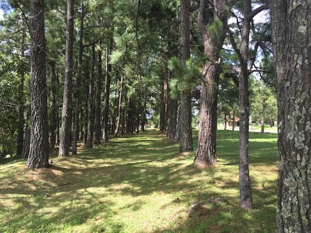 Exclusive Lots for Sale – Boquete Country Club, Chiriquí