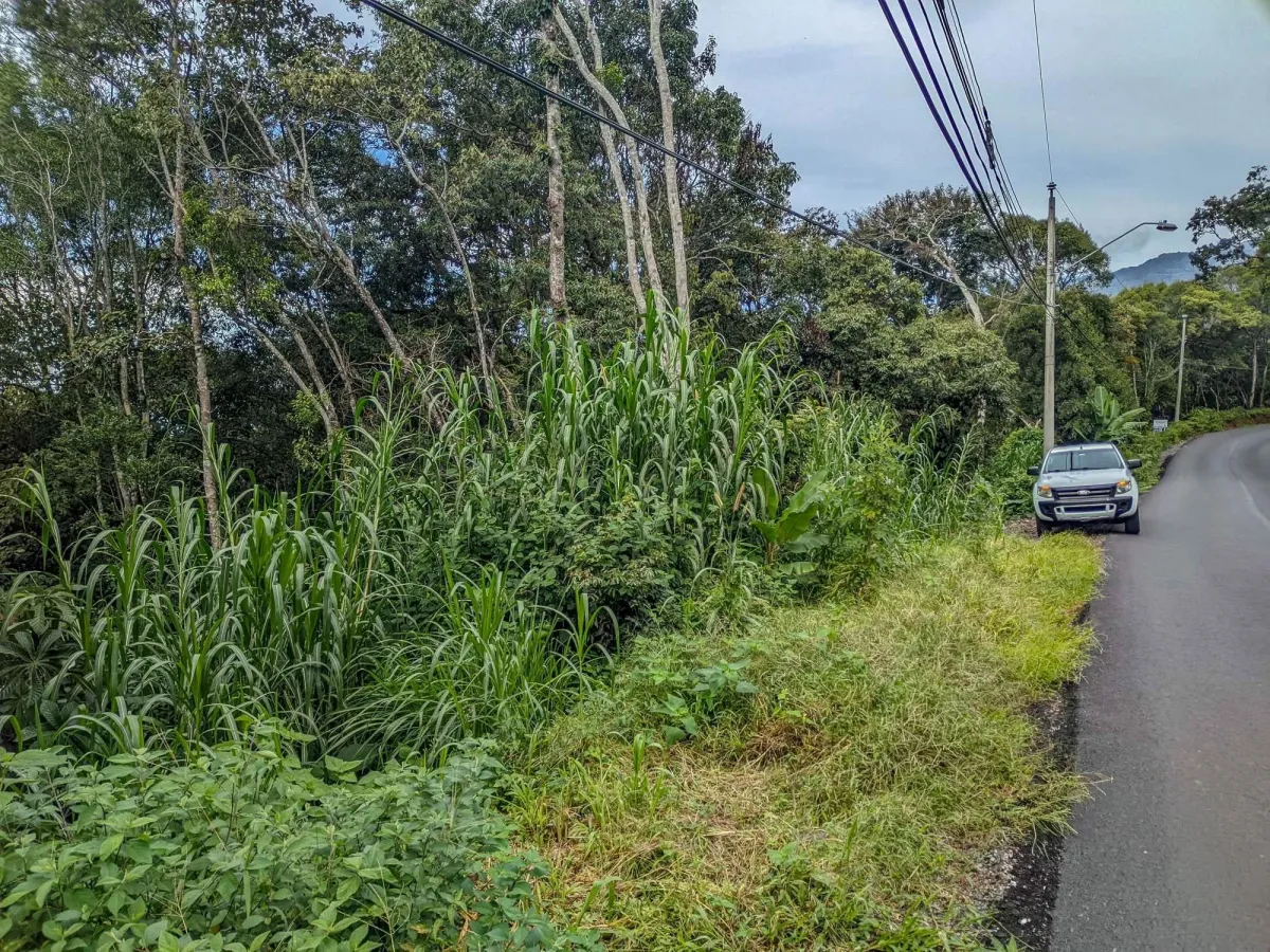 Mountain View Lot for Sale in Volcancito, Boquete