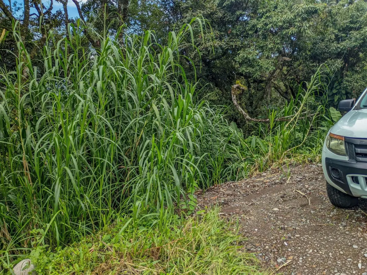 Mountain View Lot for Sale in Volcancito, Boquete