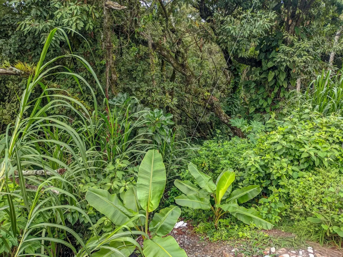 Mountain View Lot for Sale in Volcancito, Boquete